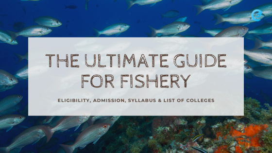 Ultimate Guide For Fishery